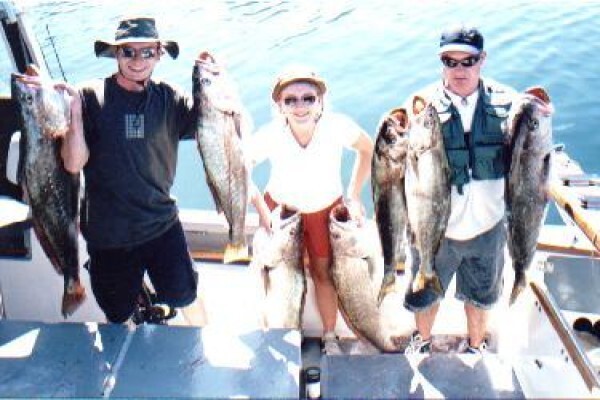 Offshore Sportfishing Charters
