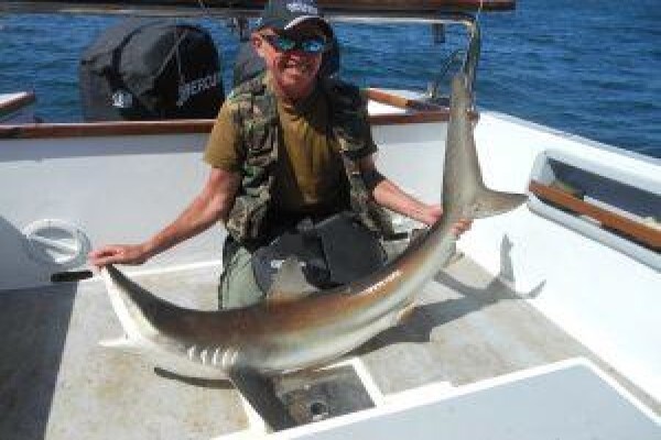 Offshore Sportfishing Charters