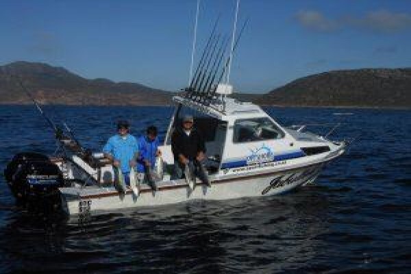 Offshore Sportfishing Charters