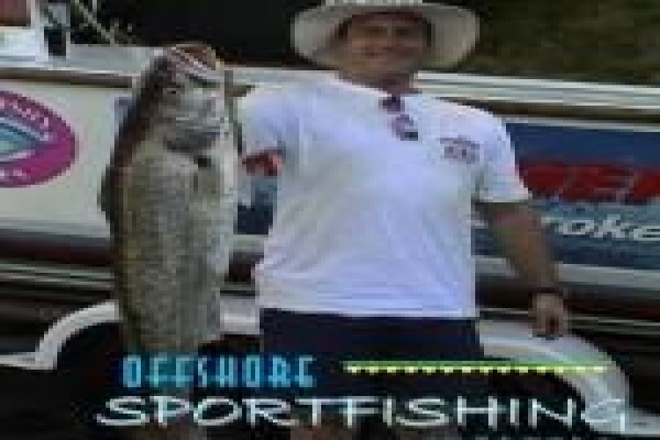 Offshore Sportfishing Charters