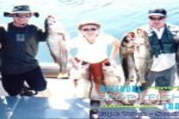 Offshore Sportfishing Charters