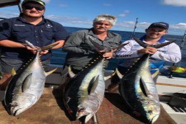 Offshore Sportfishing Charters