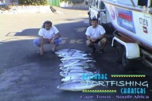 Offshore Sportfishing Charters