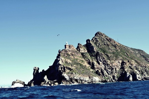 Offshore Sportfishing Charters