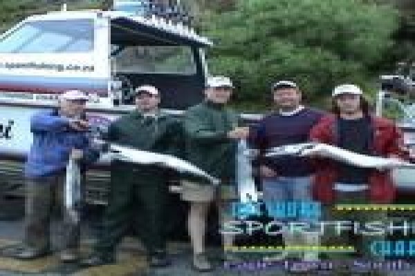Offshore Sportfishing Charters