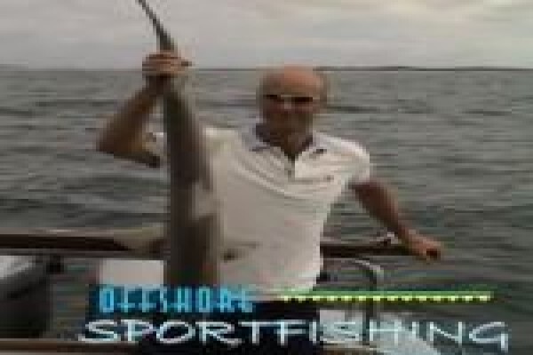 Offshore Sportfishing Charters