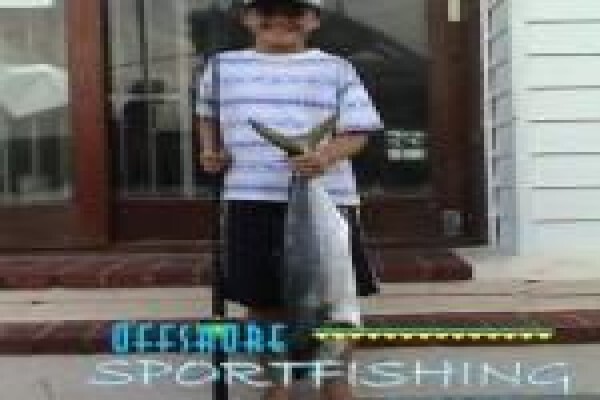 Offshore Sportfishing Charters
