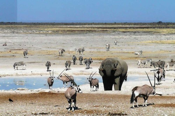 Lodges In Africa