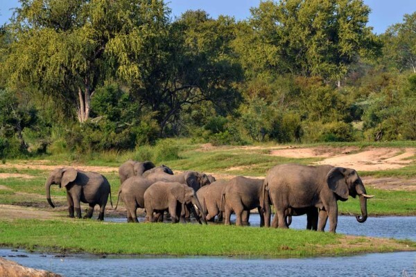 Lodges In Africa