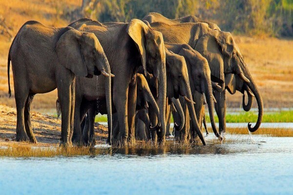 Lodges In Africa