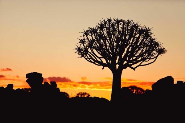 Lodges In Africa
