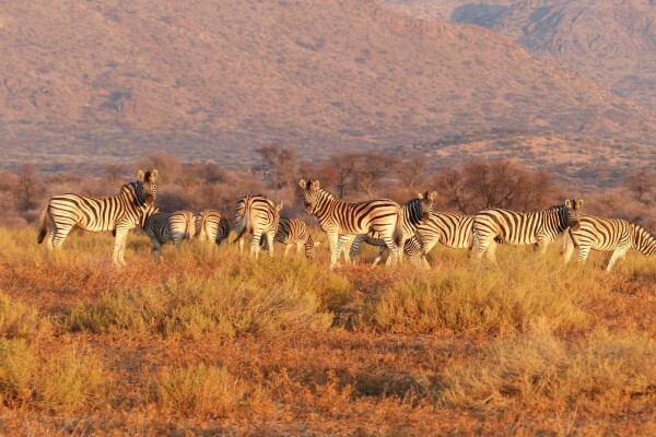 Lodges In Africa