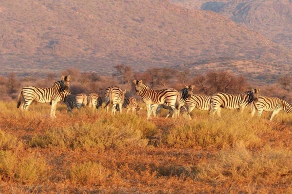 Lodges In Africa