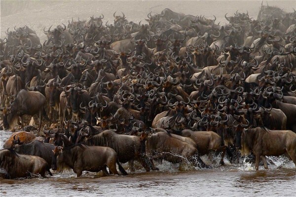 Lodges In Africa