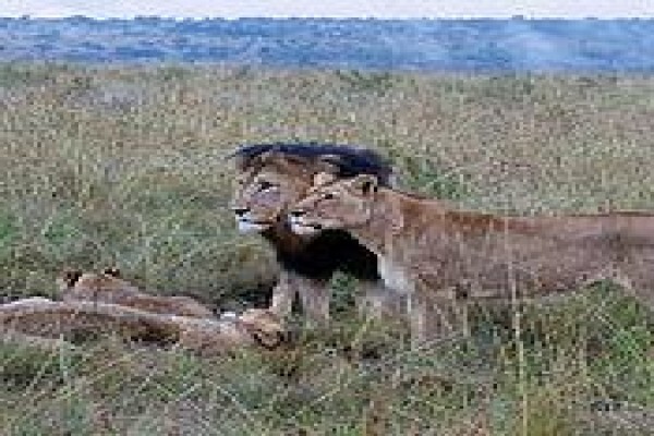 Esiweni Lodge
