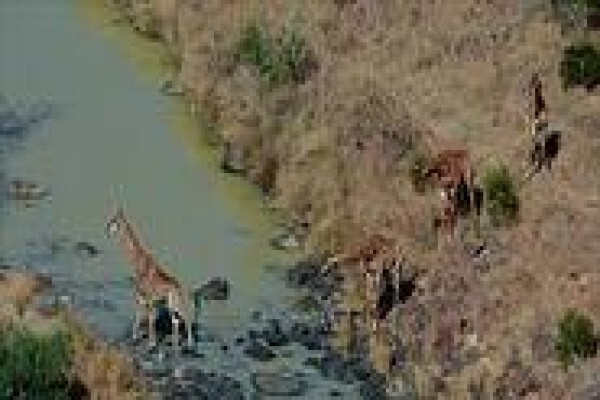 Esiweni Lodge