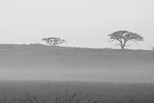 Esiweni Lodge