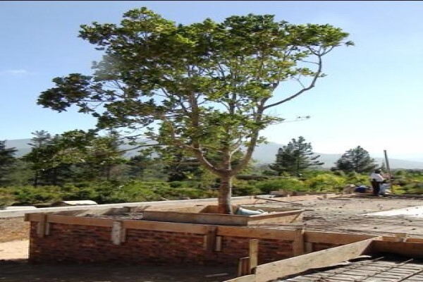 Forest Nature Spa