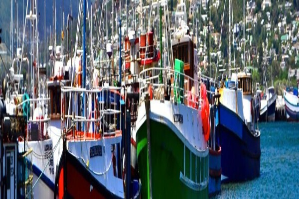 Destination Marketing Services