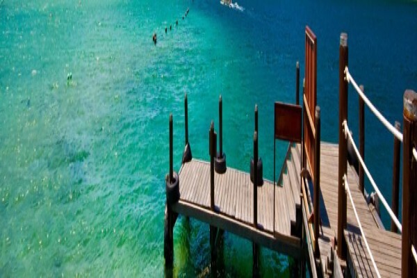 Destination Marketing Services