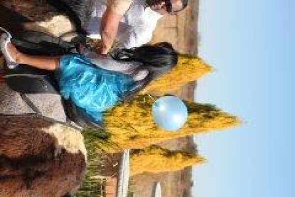 Makarios Lodge And Conferencing And Tours