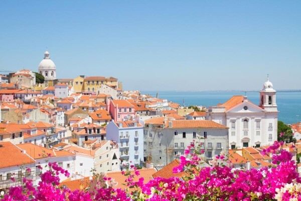 Somerset Tours