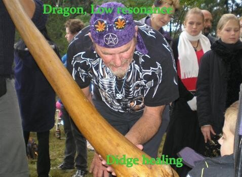 Dragon Connections