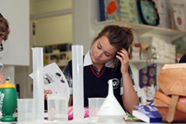 Career Assessment & Guidance