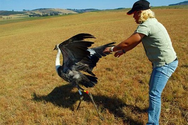 Karkloof Conservation