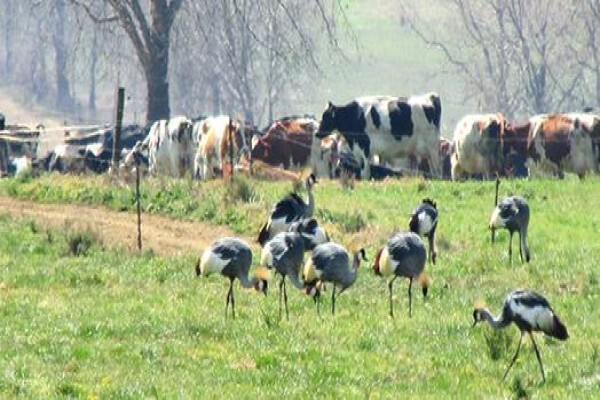 Karkloof Conservation