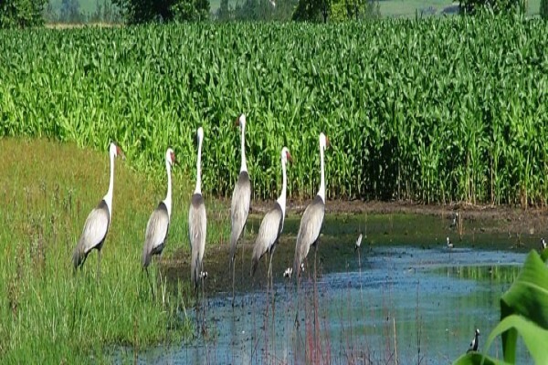 Karkloof Conservation