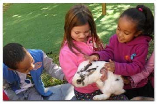 Sandton Montessori Pre-School
