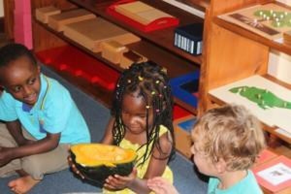 Tygervalley Montessori
