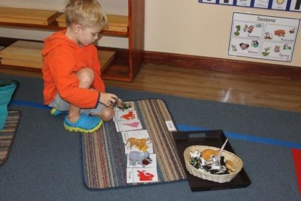 Tygervalley Montessori