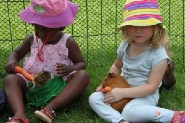 Tygervalley Montessori