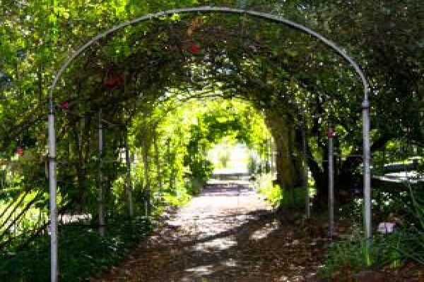 Zomerlust