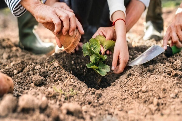 Financial Planning South Africa