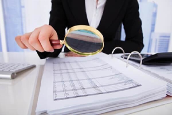 Legal Professional Accounting Consultants