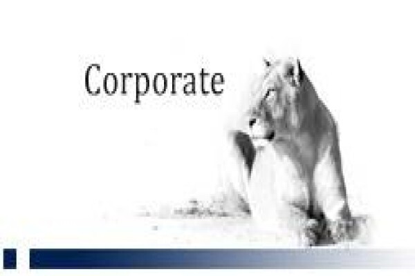 Fundamental Investments