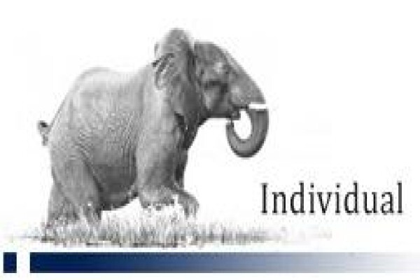 Fundamental Investments