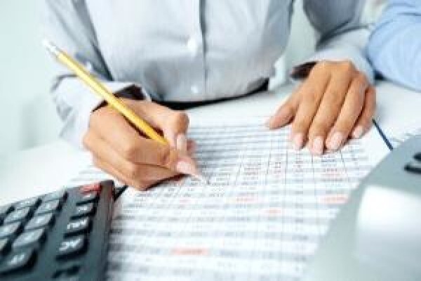 Legal Professional Accounting Consultants