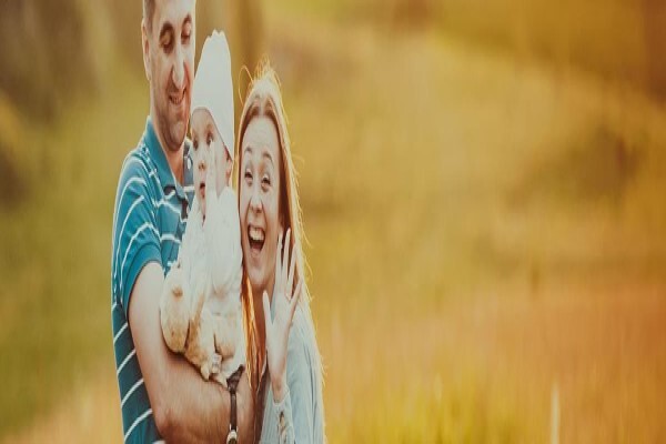 KIB Insurance Brokers