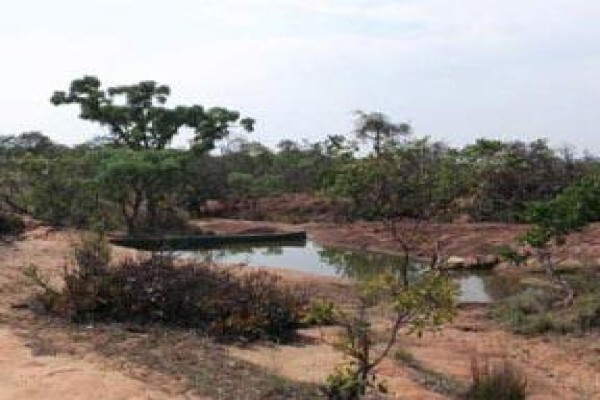 Madikela Game Lodge