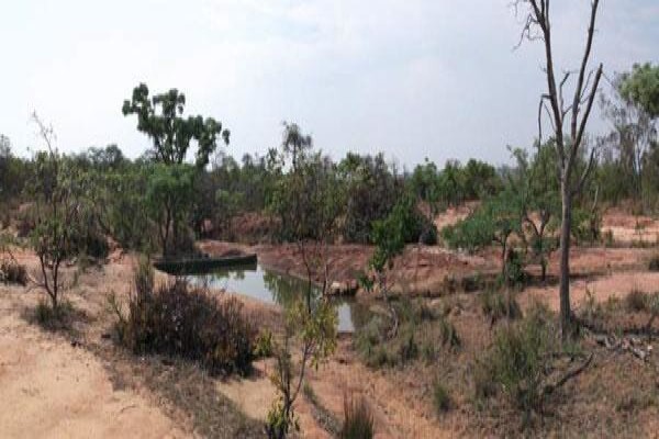 Madikela Game Lodge