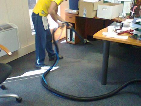 Magic Wand Steam Cleaners
