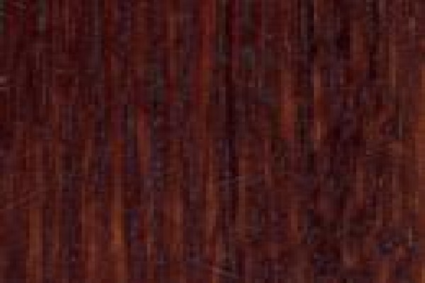Walnut Interior