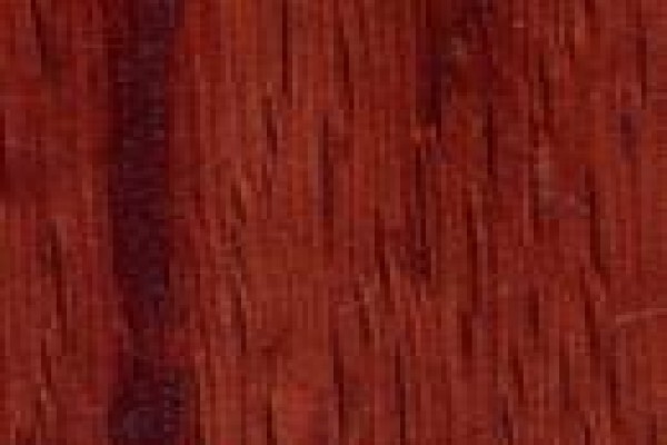 Walnut Interior