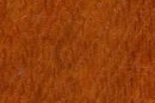 Walnut Interior