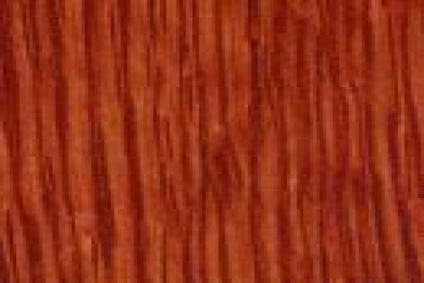 Walnut Interior