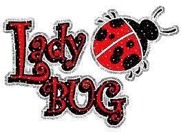 Ladybug Sewing Services